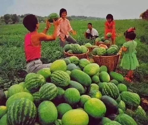 娱乐吃瓜频道有哪些名字,趣味横生！盘点各大平台热门娱乐吃瓜频道名称