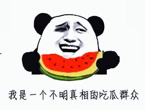 娱乐吃瓜酱的贴纸是什么,趣味互动，打造个性化公众号封面图