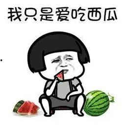 娱乐吃瓜酱内向,网络热点的幕后故事与趣味解读