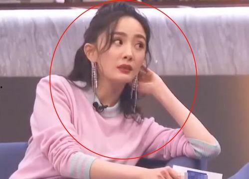 娱乐吃瓜晨晨,晨晨的娱乐八卦之旅