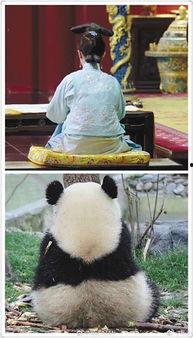 娱乐圈吃瓜群众是谁呀,揭秘网络时代的围观者与传播者